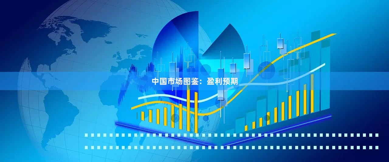 中国市场图鉴：盈利预期